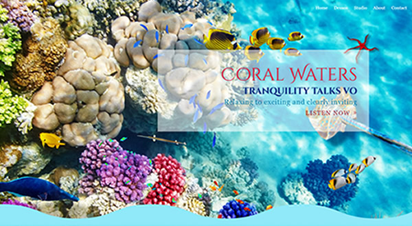 Coral Waters branding by Celia Siegel Management